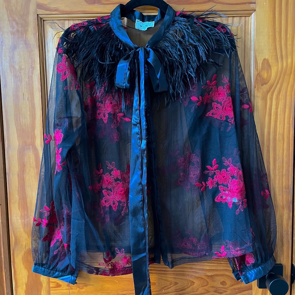 MESH BLOUSE W/ EMBROIDERY AND FEATHERS